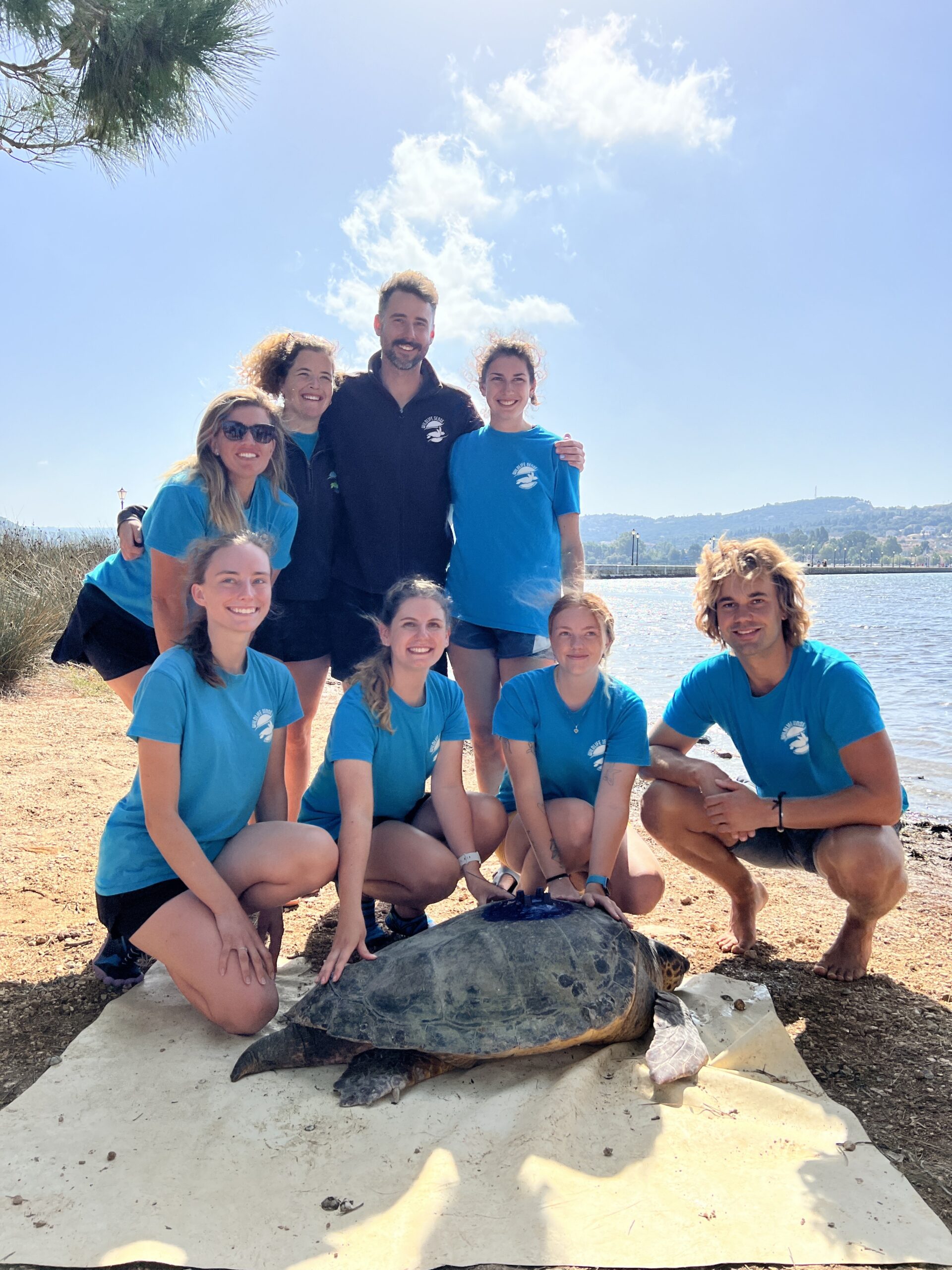 Conservation Efforts: Longline Fishing - Sea Turtle Camp