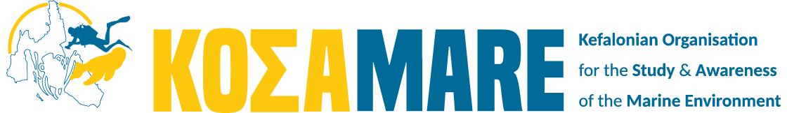 Kosa Mare logo