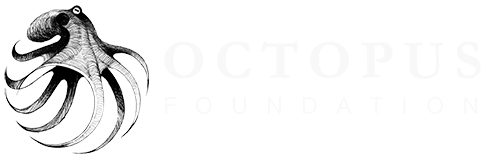 Octapus Foundation logo
