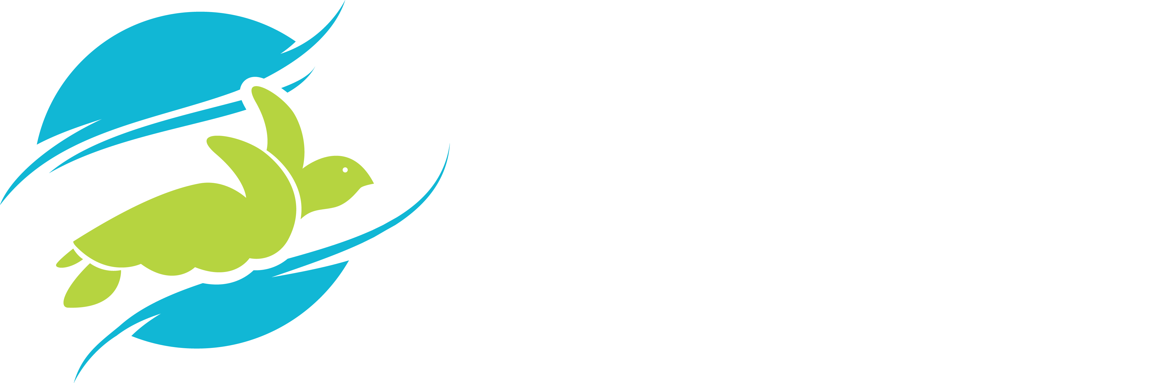 Wildlife Sense logo