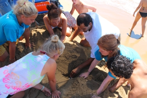 Locating an unmarked sea turtle nest