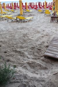 Sea turtle track and nest camouflage on Makris Gialos