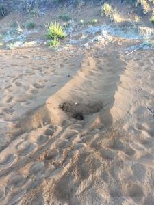 2016-07-20 Extended Body Pit into an AEC