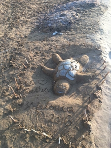 2016-08-25 Lixouri sandart