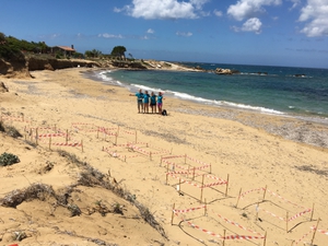 2016-08-25 Megali Ammos Hatchery