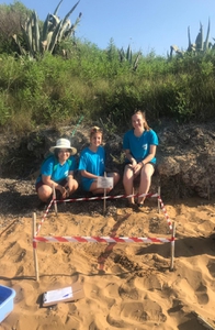 2019-06-30 Lixouri Nest 2019-06-30 Lixouri Nest