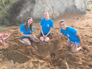 2019-07-20 Lixouri nest 2019-07-20 Lixouri nest