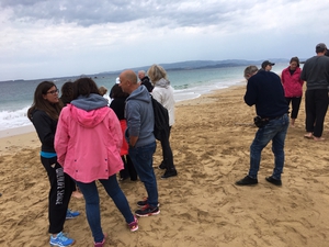 2019-07-28 Lourdas Beach Training 2019-07-28 Lourdas Beach Training