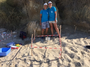 2019-07-28 Lourdas Nest 3 2019-07-28 Lourdas Nest 3