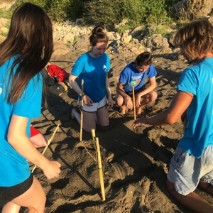 2019-08-05 Argostoli nest relocation 2019-08-05 Argostoli nest relocation