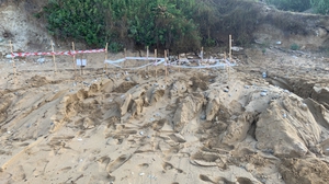 2019-08-05 Avithos Sewage nest damage 2019-08-05 Avithos Sewage nest damage