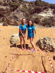 2019-08-05 Lixouri nest 2019-08-05 Lixouri nest
