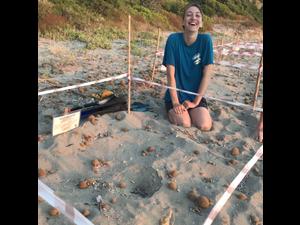 2019-08-15 Becky nest in Argostoli 2019-08-15 Becky nest in Argostoli