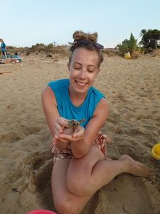 2019-08-25 Argostoli Molly hatchling 2019-08-25 Argostoli Molly hatchling
