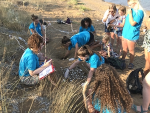 2019-08-30 Lixouri nest inventory 2019-08-30 Lixouri nest inventory