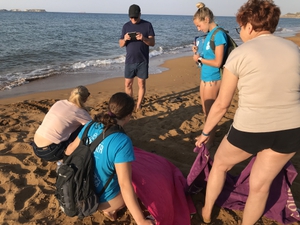 2019-09-08 Lixouri hatchling 2019-09-08 Lixouri hatchling