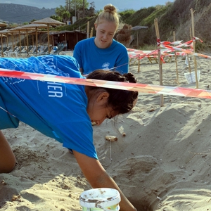 2019-09-15 Argostoli Nest inventory 2019-09-15 Argostoli Nest inventory