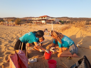 2019-09-29 Argostoli nest inventory 2019-09-29 Argostoli nest inventory