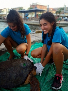 2019-09-29 Argostoli tagging katiana 2019-09-29 Argostoli tagging katiana