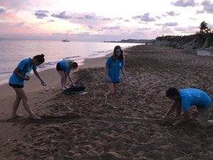 2019-09-29 Lixouri hatchling trench 2019-09-29 Lixouri hatchling trench