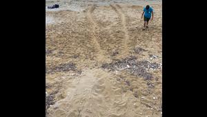2022-06-26 Argostoli Nest track