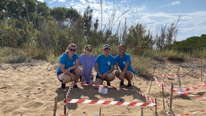 2022-08-07 Nesting Beach Team