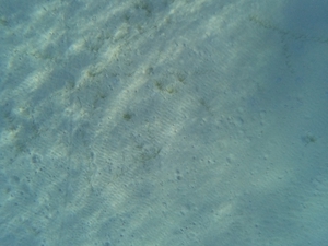 2022-08-07 Skala Posidonia Survey