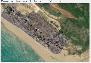 2022 August Skala Mapping 1