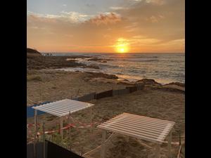 2022 Oct Nest Protection Lixouri
