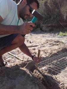 Placing a metal cage over a partially depredated nest
