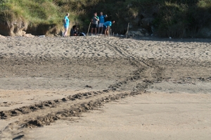 Lixouri tracks Lixouri tracks