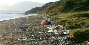 Waste on sea turtle nesting beach in Zakynthos Waste on sea turtle nesting beach in Zakynthos