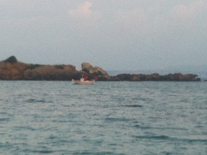A boat killing turtles