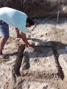 Digging a trench around the nest to place the metal cage