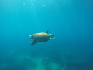 Esme swimming Esme swimming