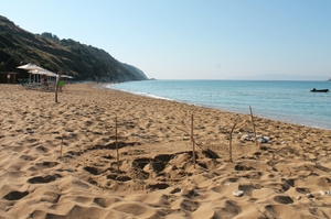 A fresh sea turtle nest on Avithos beach A fresh sea turtle nest on Avithos beach