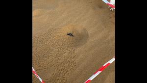 Hatchling emerging Lixouri