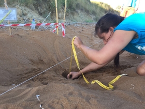 Measuring the depth of the top egg