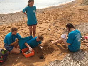 Nest Relocation Lixouri 2015 Nest Relocation Lixouri 2015