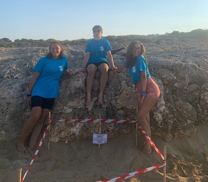 New nest found on St Nick's cove
