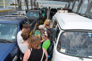 Public interest for the injured sea turtle