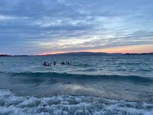 September 2022 Sunset Swim