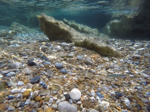 Snorkeling in Skala