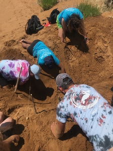 Survey team looking for sea turtle eggs