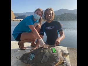 Tagging 100th turtle Tagging 100th turtle