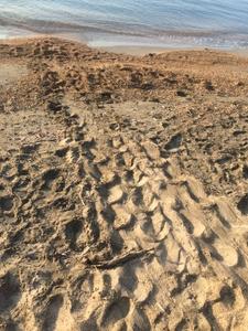 Tracks on Skala beach
