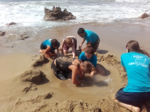 Wildlife Sense volunteers relocate inundated sea turtle nest